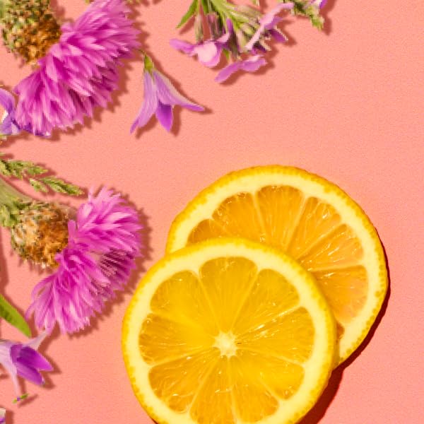 Shea butter detail from Hempz Citrus Blossom cream