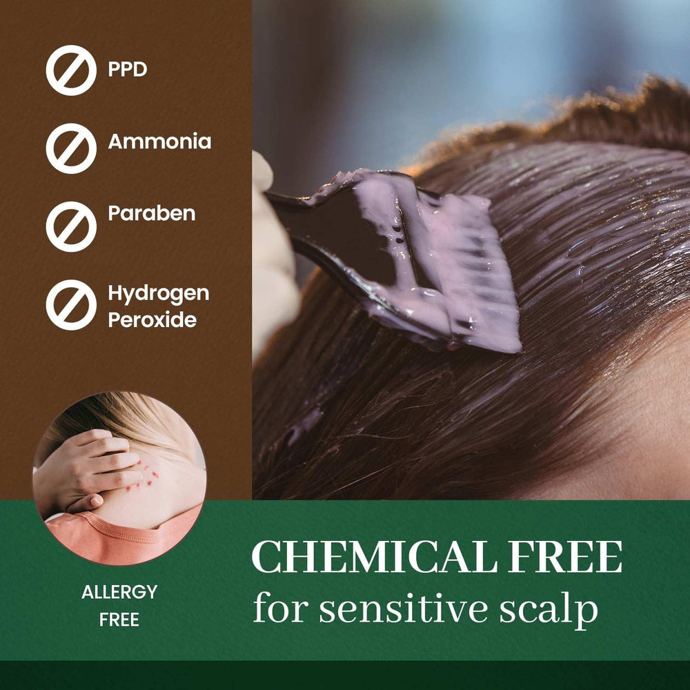 Herb Speedy color cream Natural Black with gloves shows a gentle, odorless coloring process.