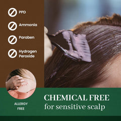 Herb Speedy herbal blend ingredients like licorice, rosemary, chamomile.