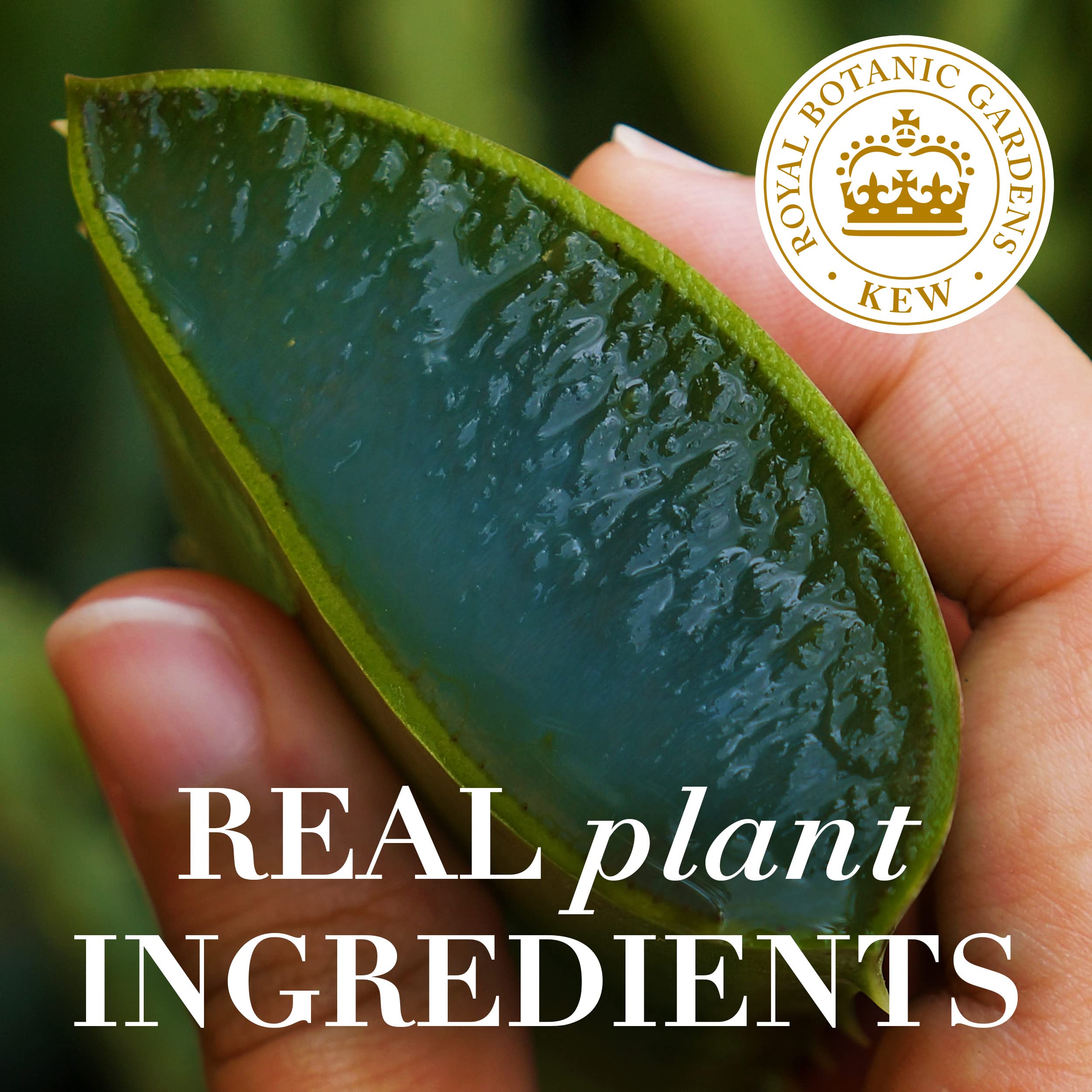 Herbal Essences bio renew ph-balanced color-safe formula promises gentler color treatment