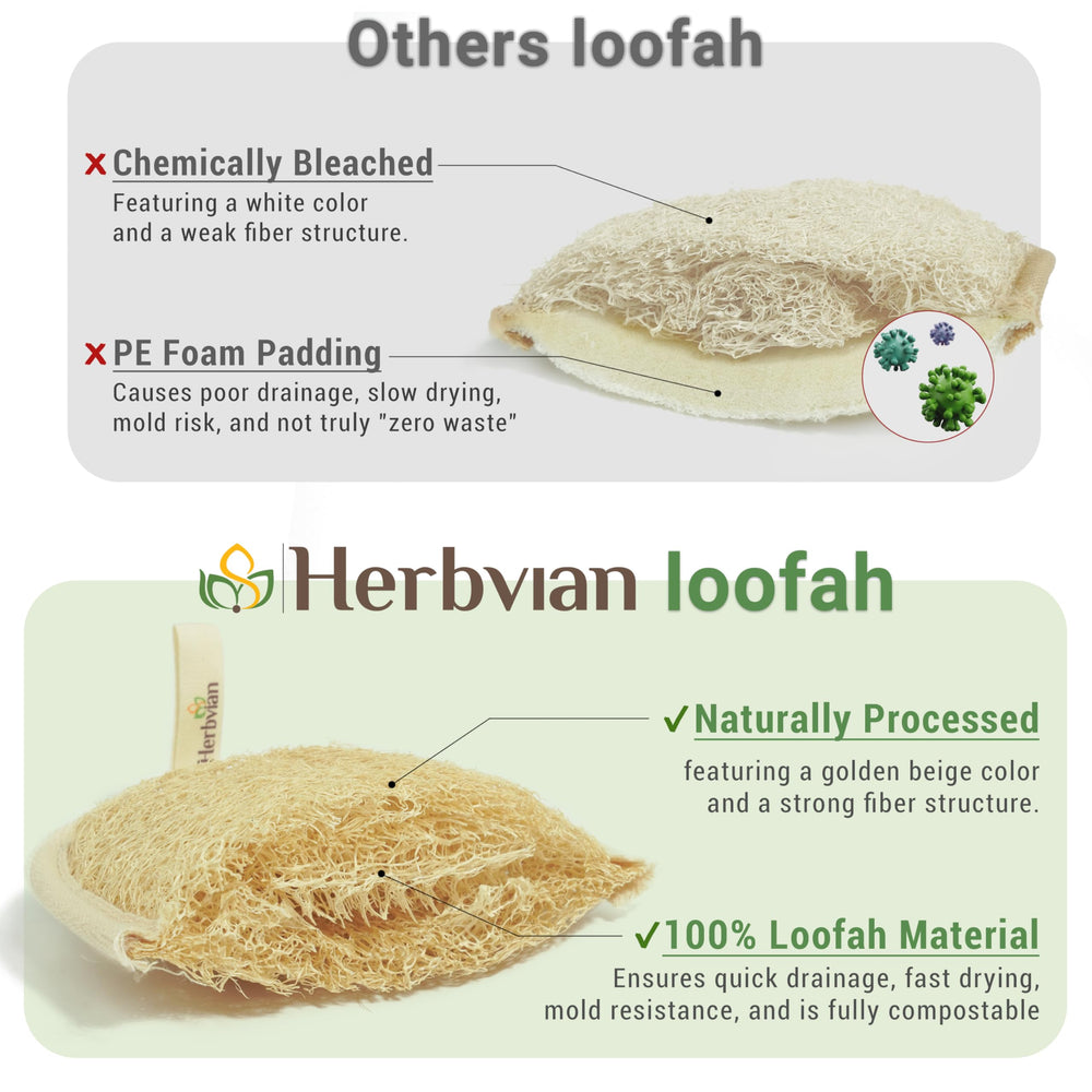 Herbvian loofah pads oval size ideal for comfortable full-body use.