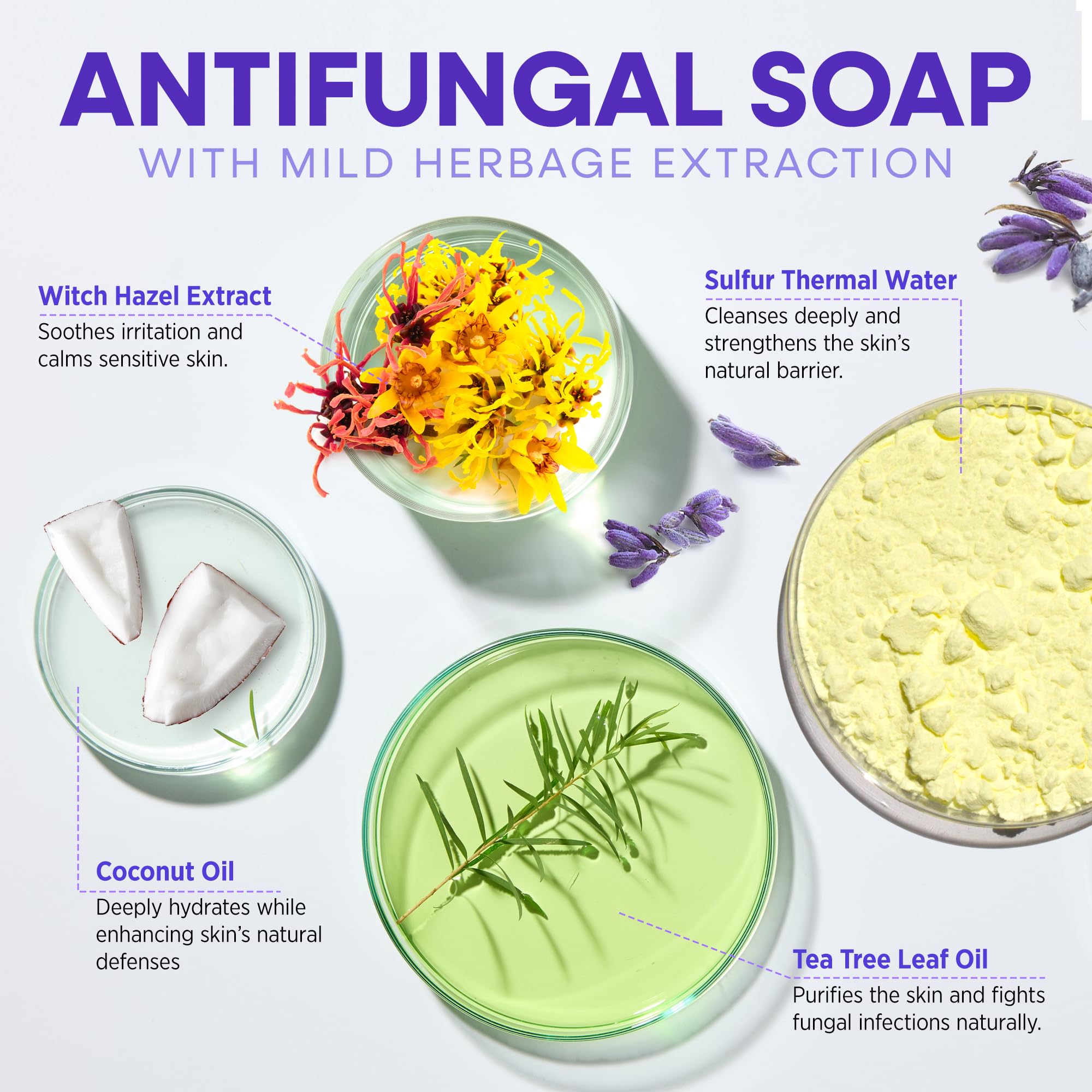 Hermon Antifungal Soap Tea Tree Ingredient Label focuses on active antifungal components and tea tree benefits.