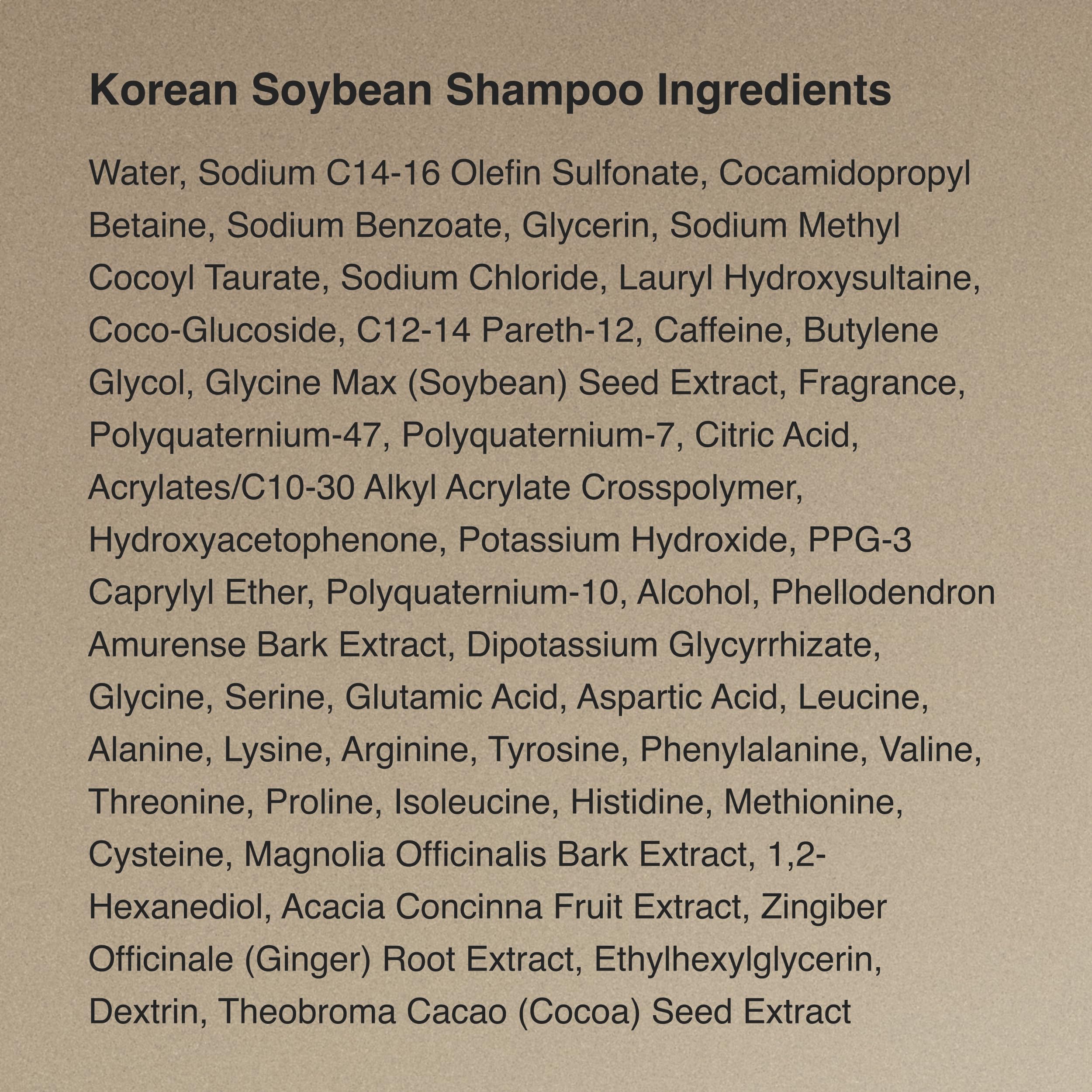 Hesul Korean Soybean Shampoo holiday gift packaging for thoughtful present