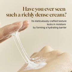 Close-up of key ingredients in HEVEBLUE Salmon Caring Centella Cream