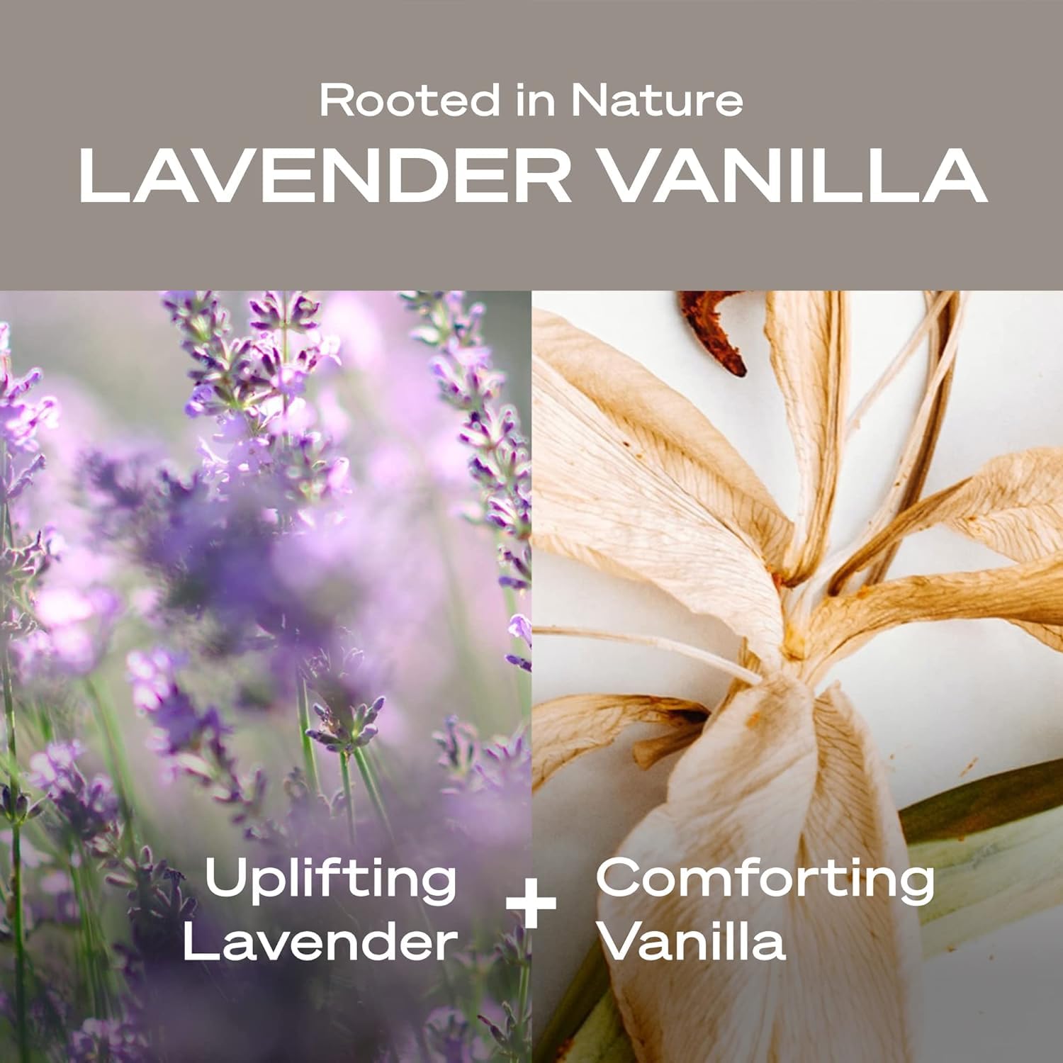 Hey Humans deodorant lavender vanilla rosemary-coconut oil shot highlights natural odor-control ingredients