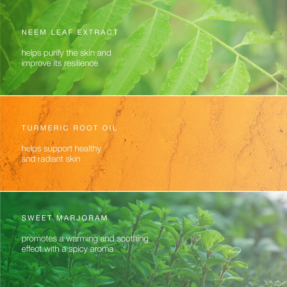 Himalaya Botanique balancing neem-turmeric face-wash ingredients neem-turmeric showcase