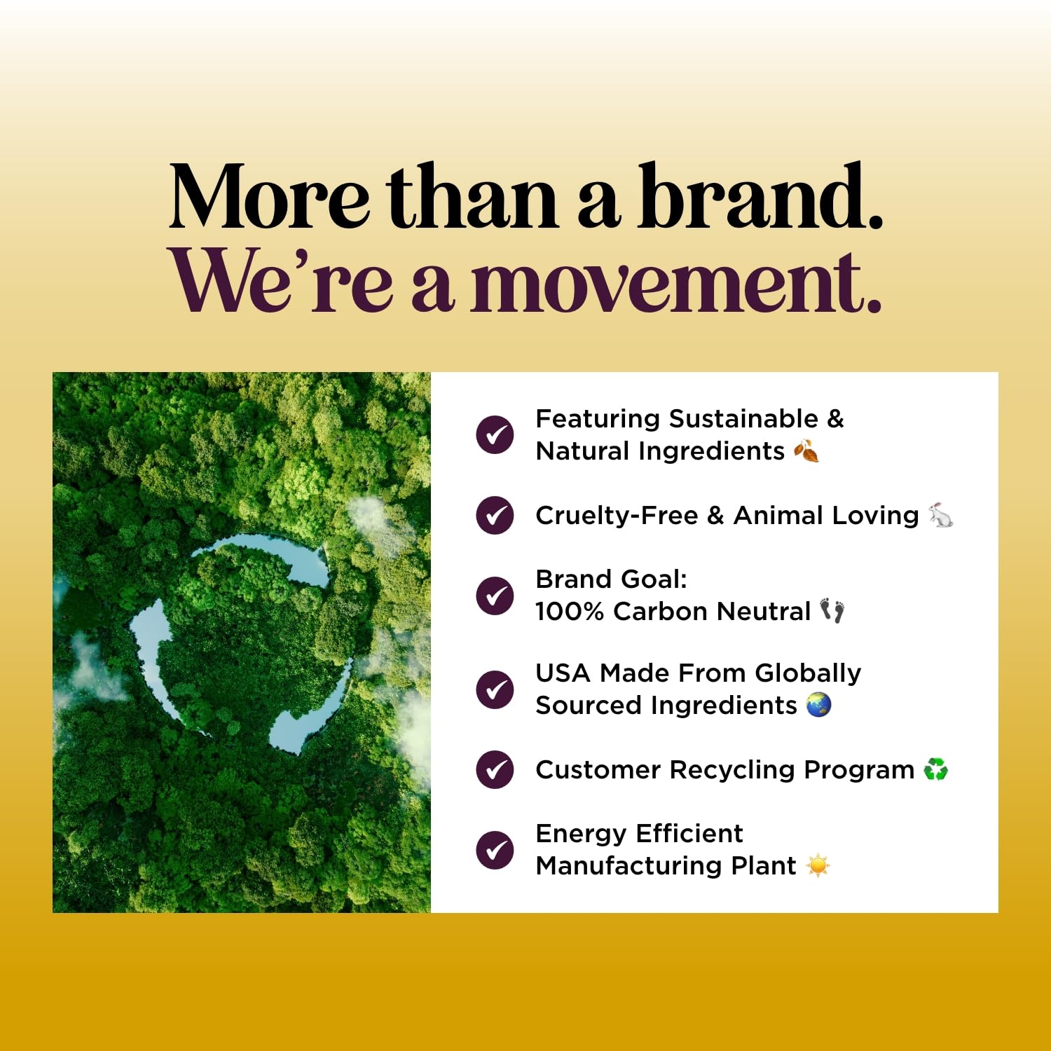 Honeydew Lemon Sage Shampoo color-treated hair protection.