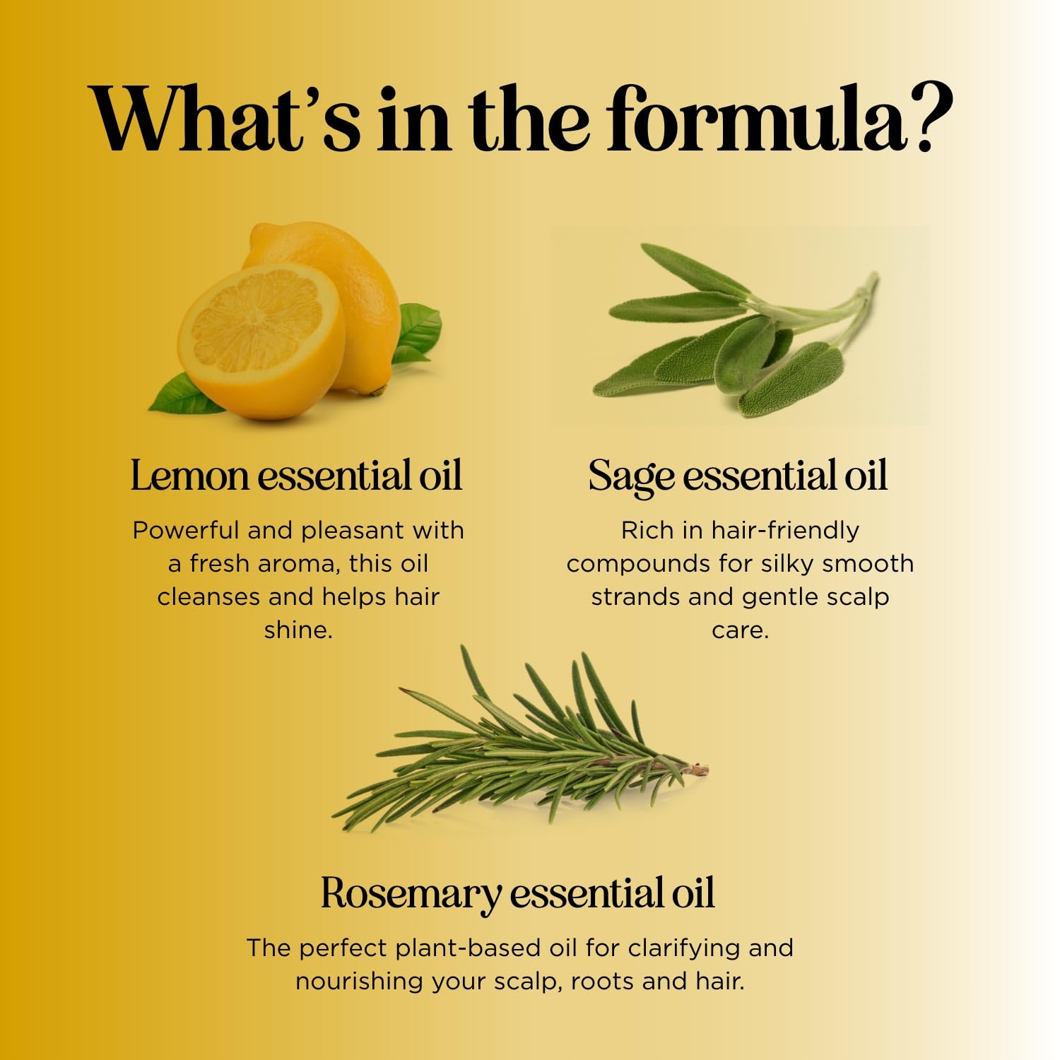 Honeydew Lemon Sage Shampoo tea tree oil droplet on label.