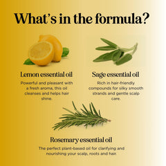 Honeydew Lemon Sage Shampoo tea tree oil droplet on label.