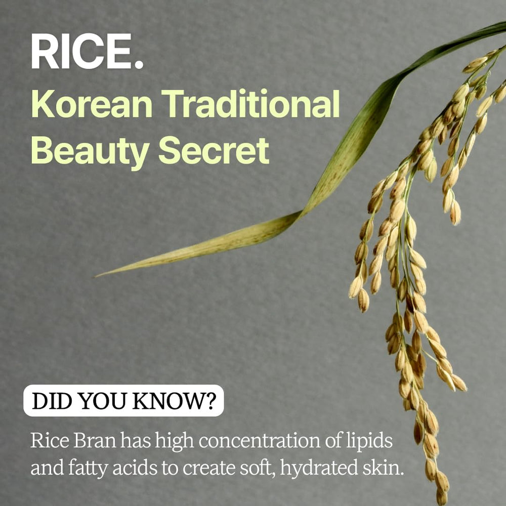 House of Dohwa Rice Bran Powder Wash ingredients scene highlighting vegan-certified formula