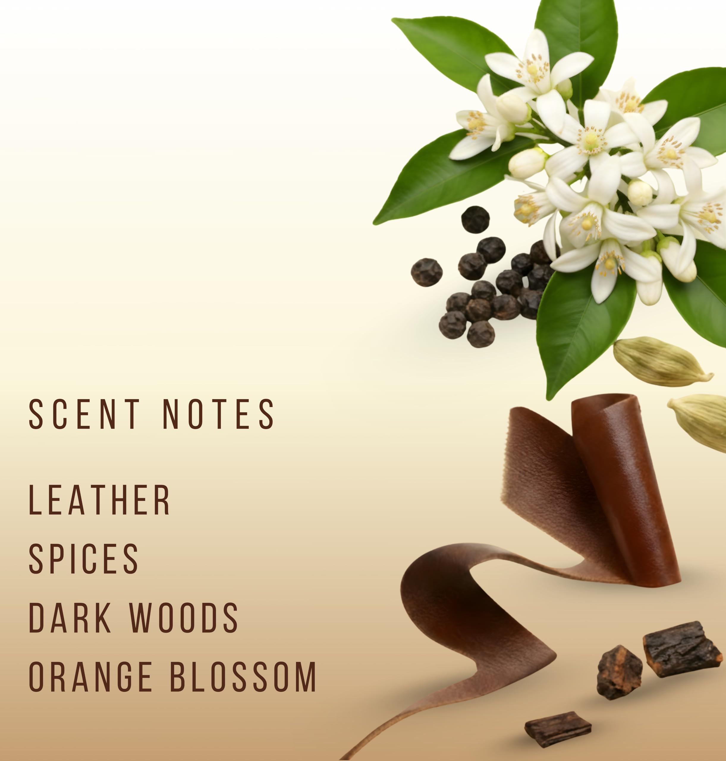 HVNLY Wicked heart notes of leather, spices and incense add intrigue