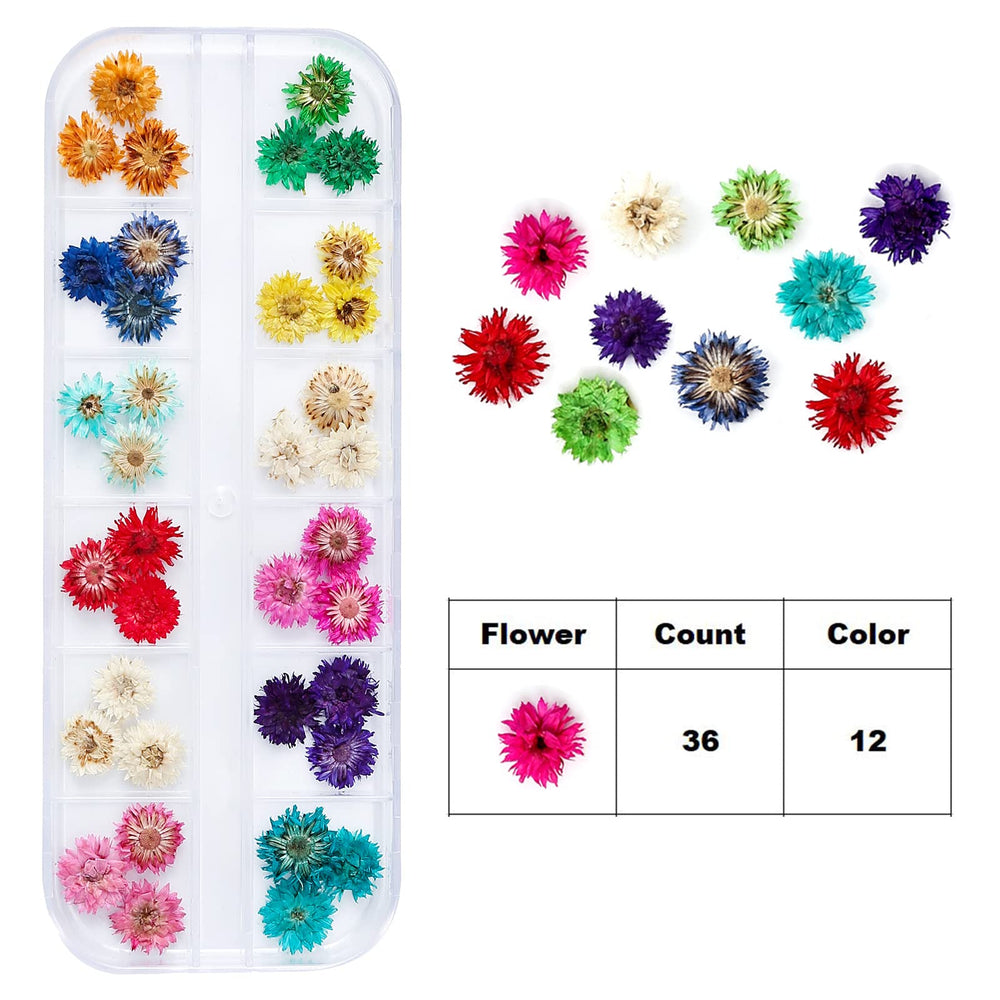 iFancer six-color box highlights colorful petals for versatile nail art designs