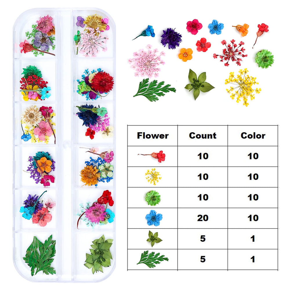 iFancer pressed flower variety provides delicate texture for resin crafts