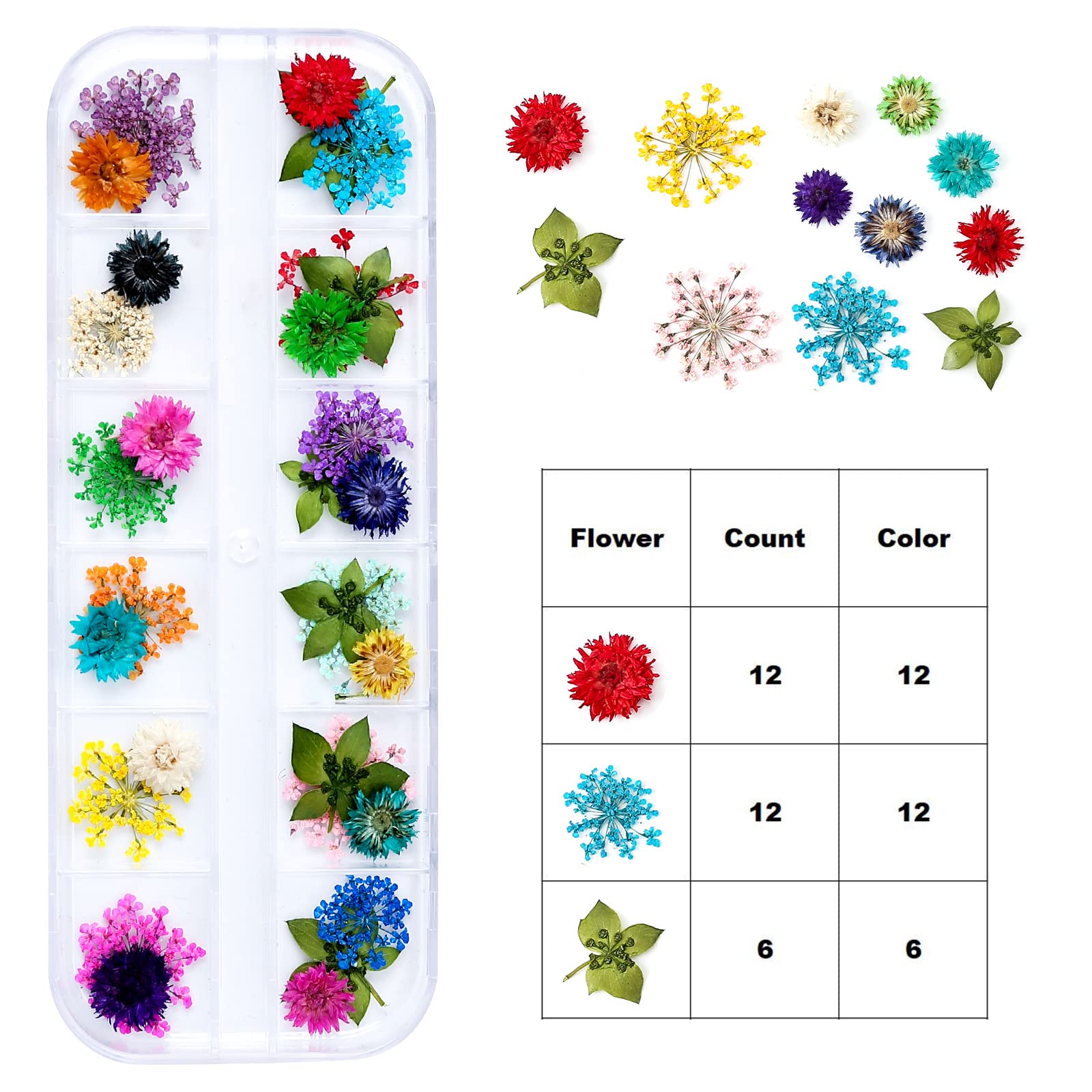 iFancer dried flowers six to twelve colors per bloom brighten resin pieces