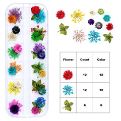 iFancer dried flowers six to twelve colors per bloom brighten resin pieces