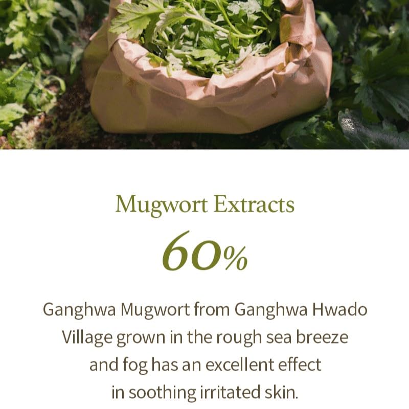 I'm from Mugwort Gel Cleanser packaging label highlights mugwort 60% and herbal origins.