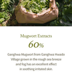 I'm from Mugwort Gel Cleanser packaging label highlights mugwort 60% and herbal origins.