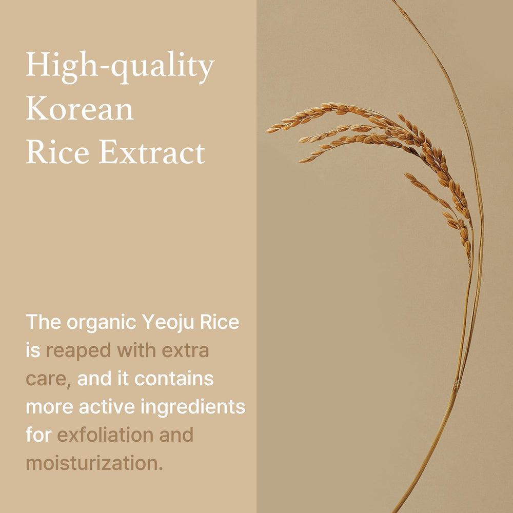 I'm from Rice Sheet Mask sheets close-up highlighting silky milky essence
