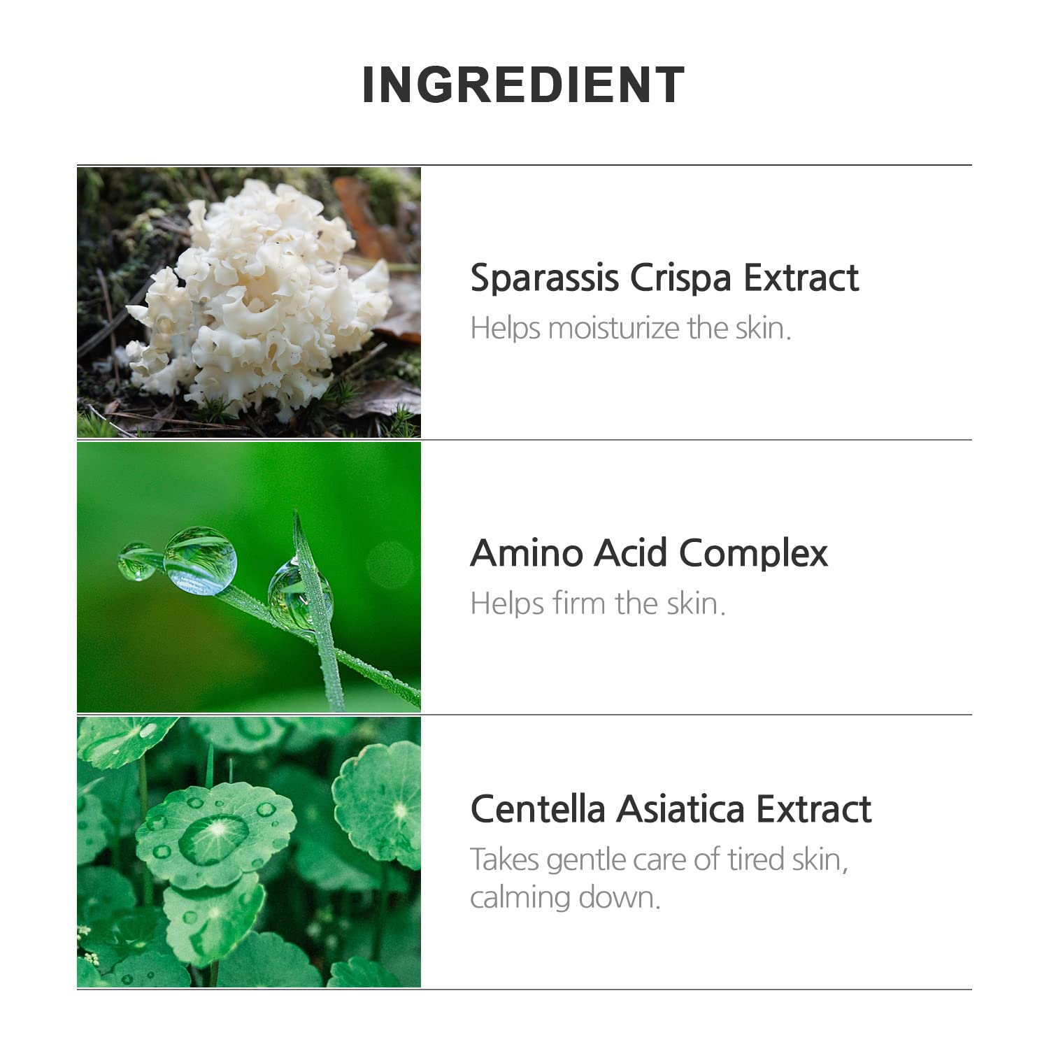 INCELLDERM Riman EX Giant BYoungPool Leaf Water for lasting moisture.