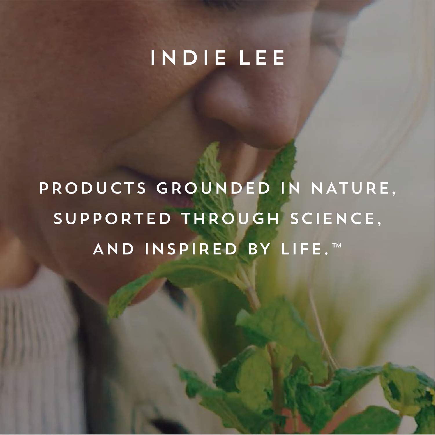 Indie Lee Purifying Face Wash burdock clove ingredient close-up.