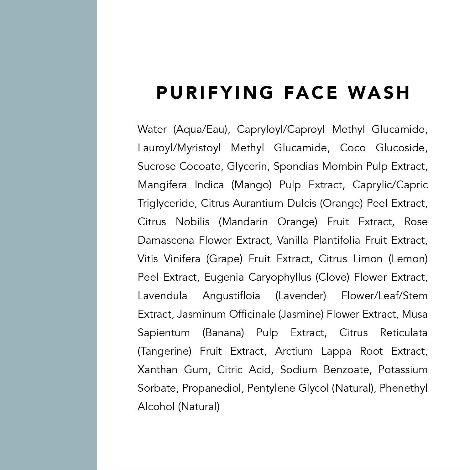Indie Lee Purifying Face Wash packaging front for travel.