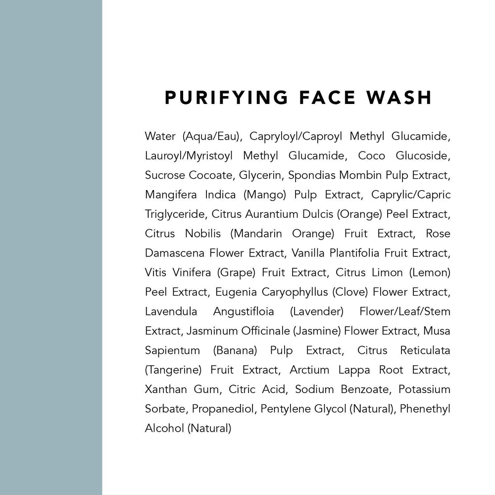 Indie Lee Purifying Face Wash packaging front for travel.