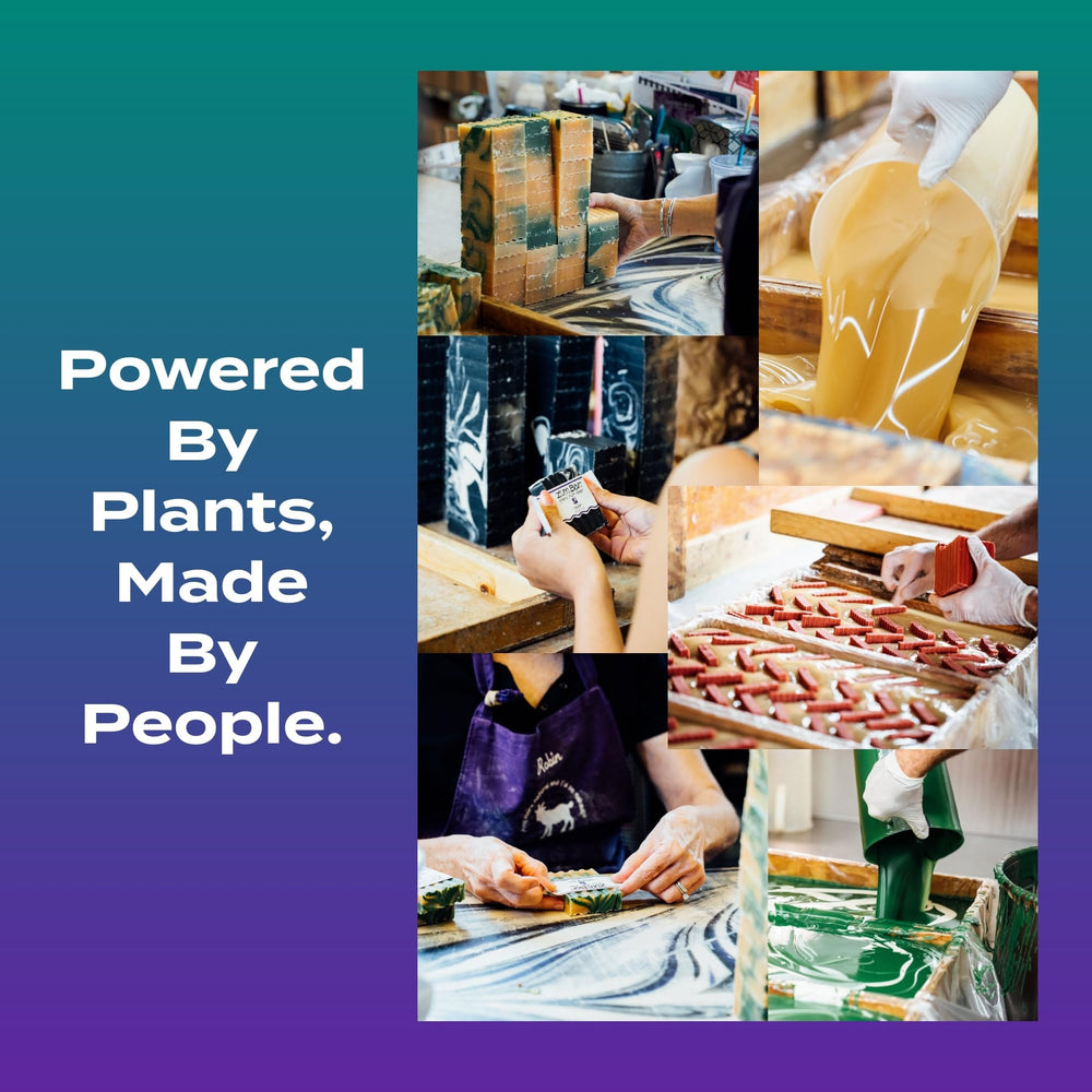 Indigo Wild Goat's Milk Soap Bar 3-pack ready for daily use.