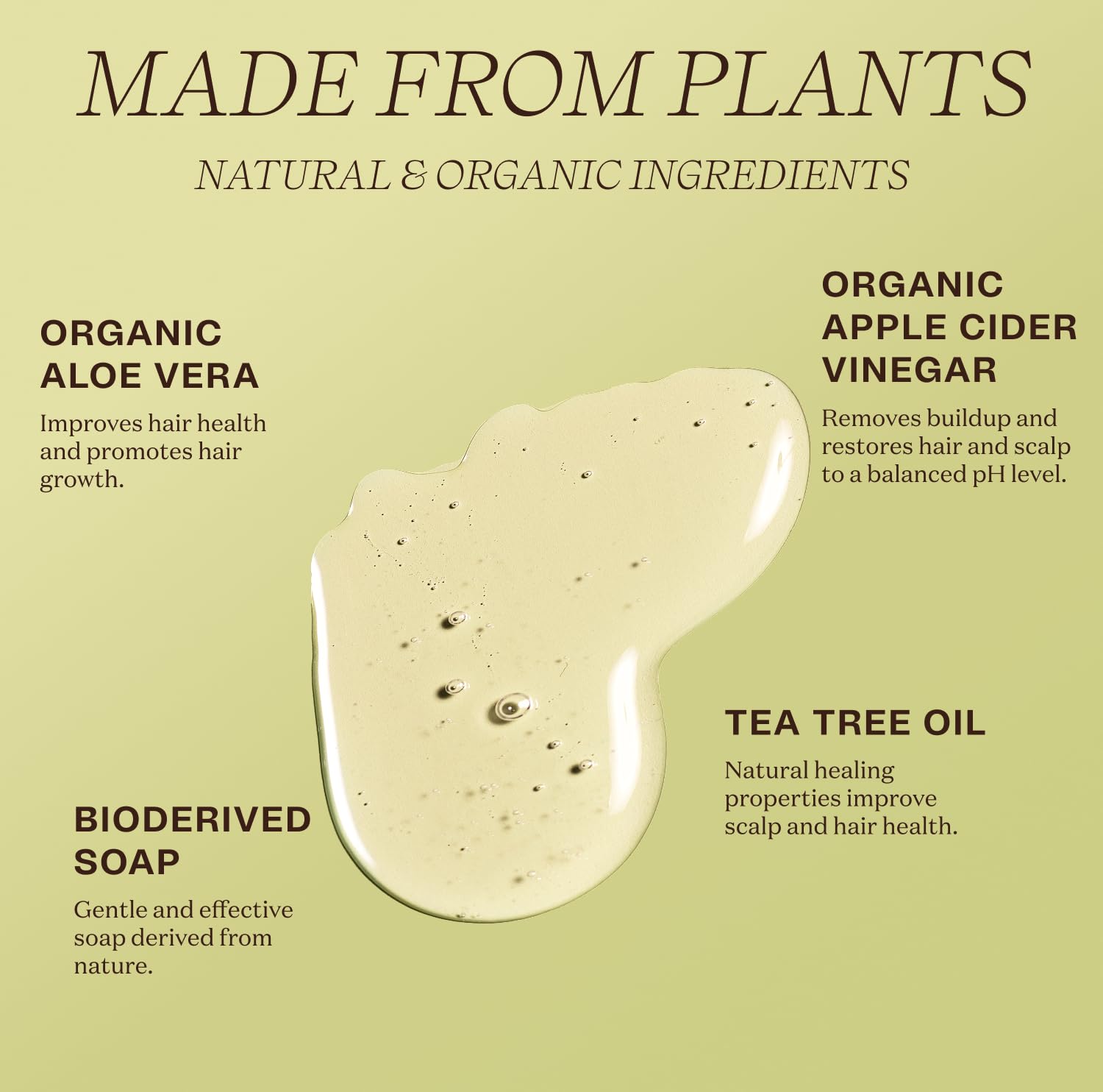 Ingreendients organic ingredient botanicals display for gentle scalp nourishment