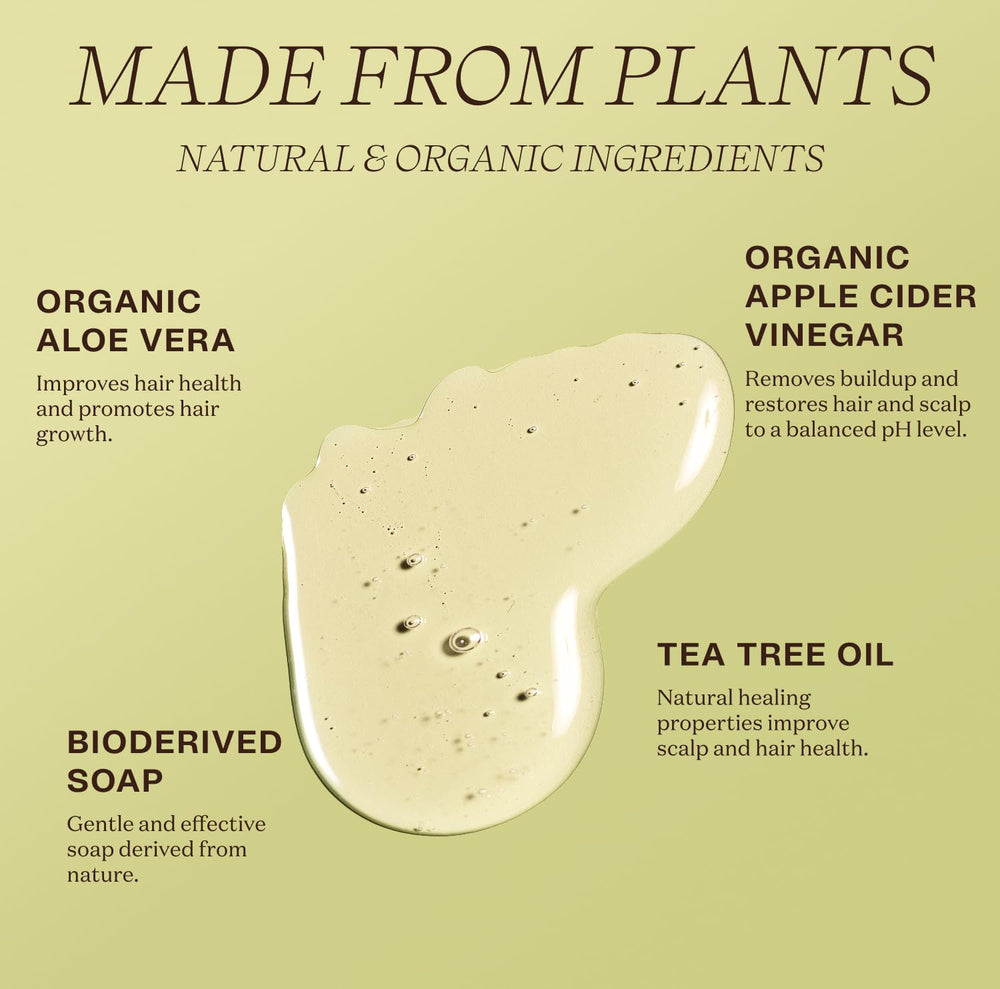 Ingreendients organic ingredient botanicals display for gentle scalp nourishment