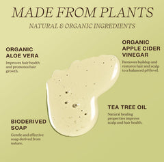 Ingreendients organic ingredient botanicals display for gentle scalp nourishment