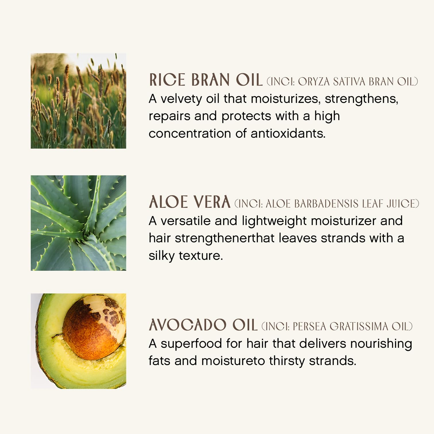 INNERSENSE organic daily conditioner branding label conveys cruelty-free, non-toxic claim for conscious shoppers.