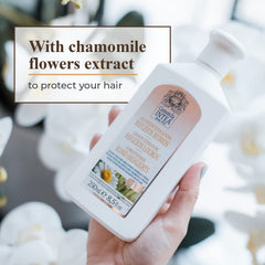 Intea Blonde Hair Conditioner chamomile-flower close-up highlights calming extract for blondes.