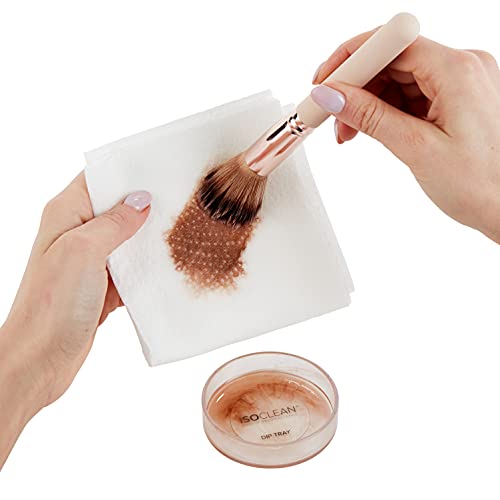 Isoclean no-rinse formula dries quickly, letting brushes be reused fast