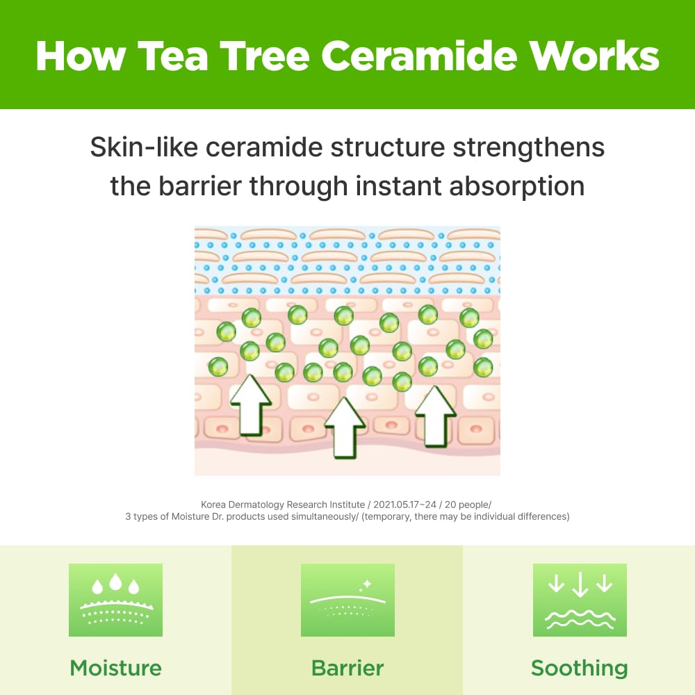 ISOI Tea Tree Ceramide formula jar emphasizing barrier support and moisture retention