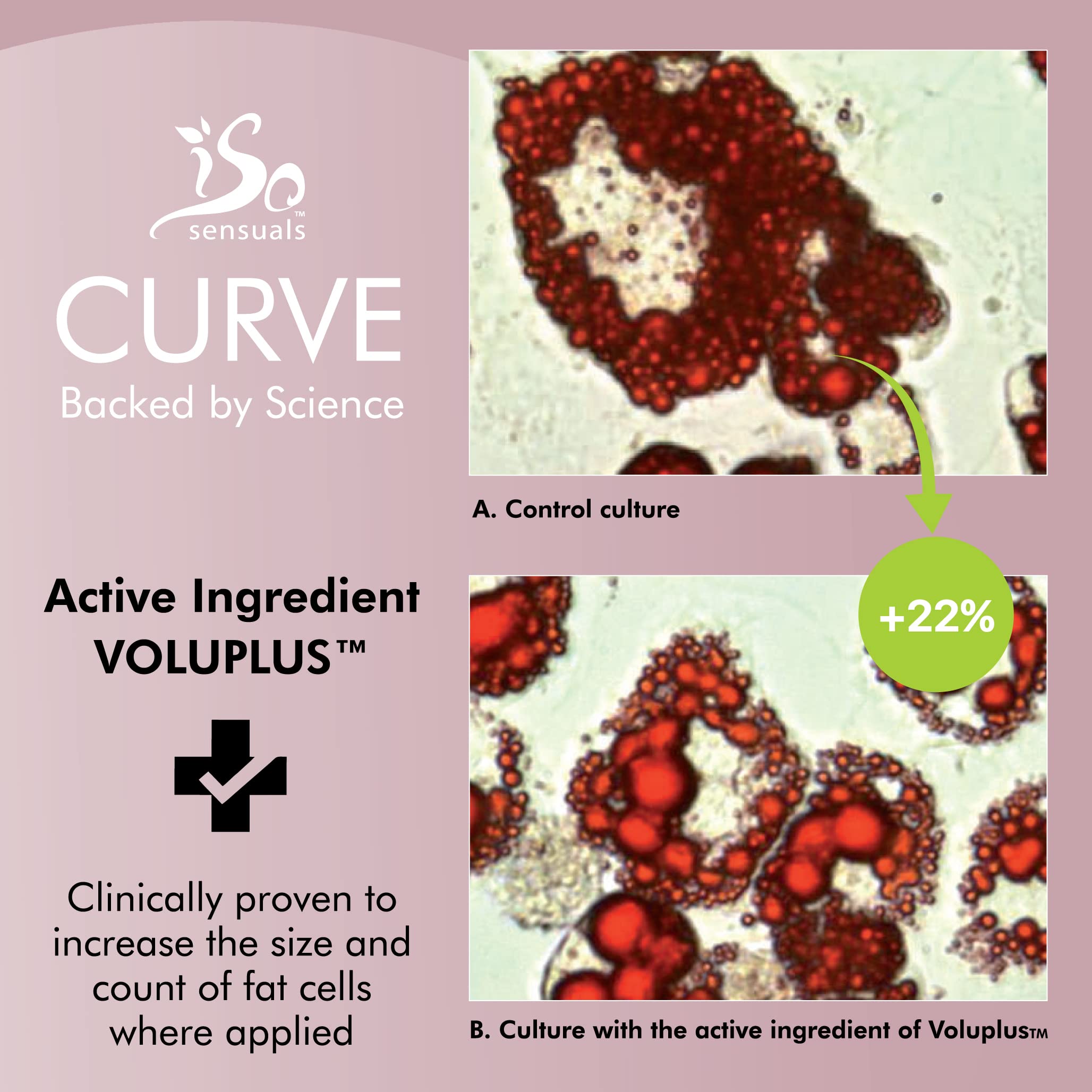 IsoSensuals CURVE texture close-up shows silky, fast-absorbing cream.