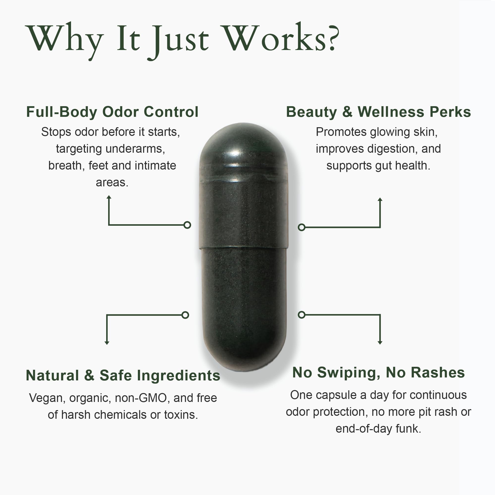 Sodium copper chlorophyllin highlight in It Just Works for internal odor neutralization.