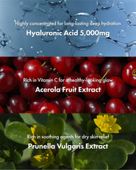 It'S SKIN Hyaluronic Acid Moisture Cream acerola extract closeup antioxidant-rich nourishment.