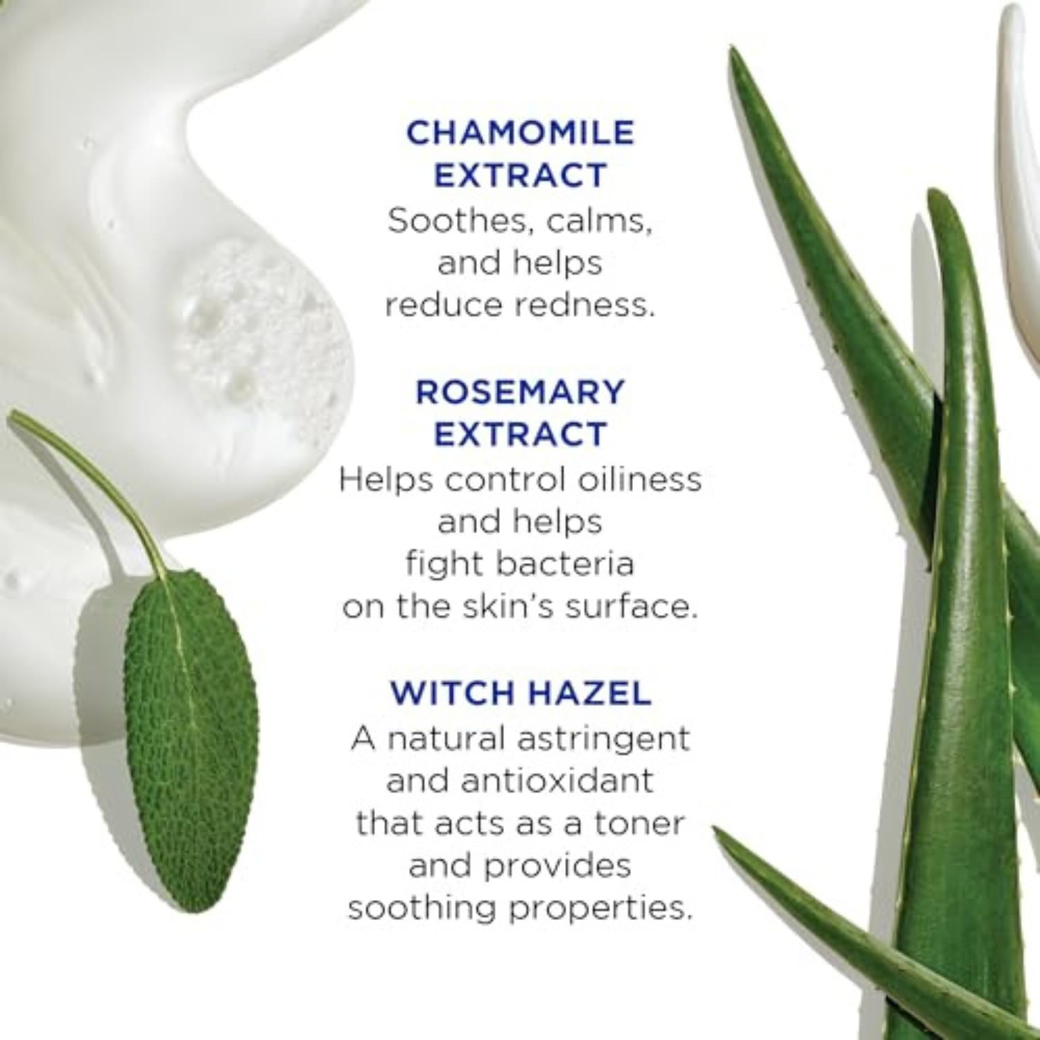 Jack Black Pure Clean Organic Sage Leaf Extract closeup highlighting antibacterial soothing benefits