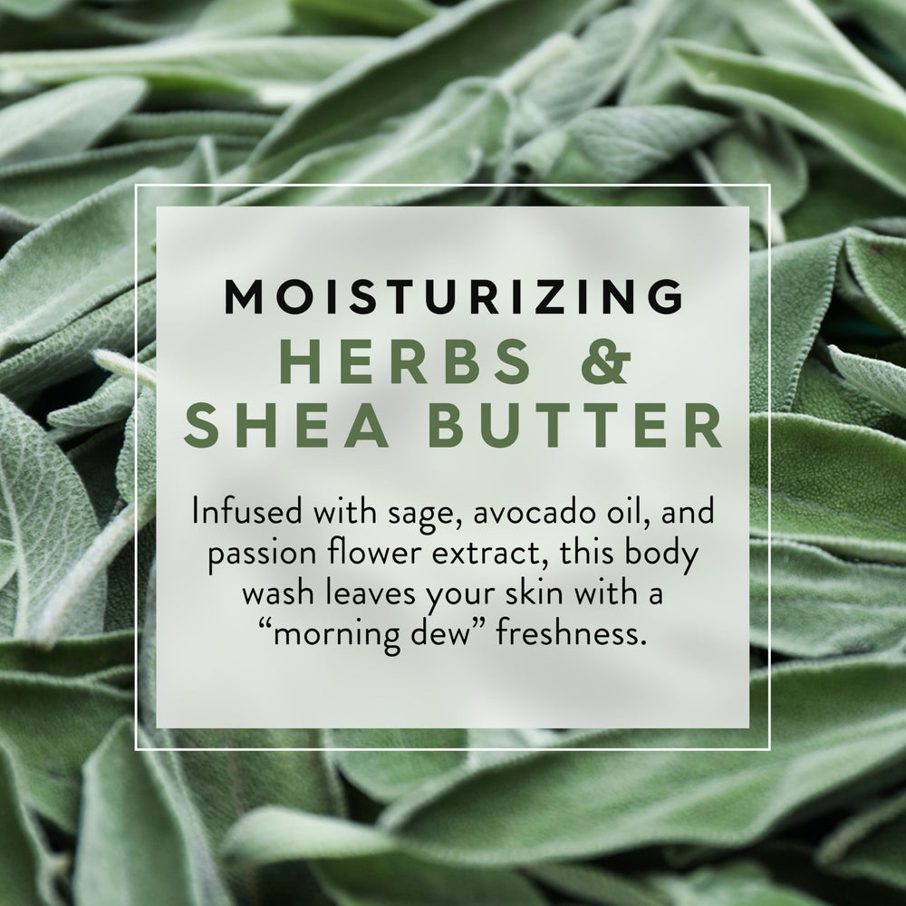 Jason Herbs and Shea Butter Body Wash with morning dew scent