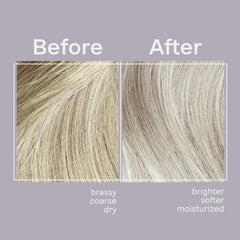 Jhirmack 4-pack side view showing range for all silver shades