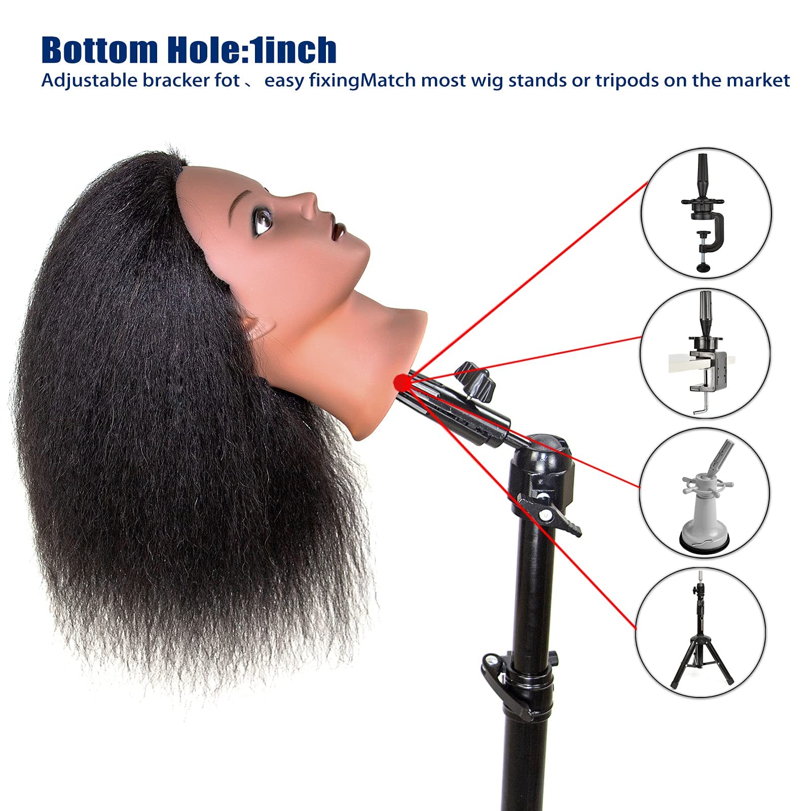 JMHAIR mannequin head with non-slip base for steady exams or tutorials