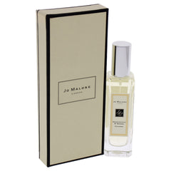Jo Malone Honeysuckle & Davana bottle with mossy base evokes warm, earthy depth.