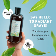 Just Nutritive Gray Hair Shampoo yellow-removal focus highlights reduction of yellow cast.