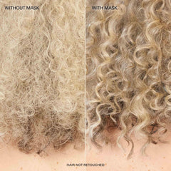 Before application: dry, frizzy hair ready for treatment.
