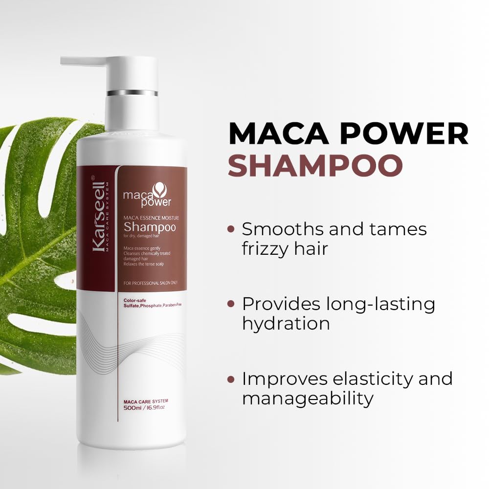 Karseell Argan Oil Shampoo ingredients world graphic emphasizes natural extracts.