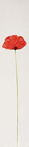 Kenzo Flower By Kenzo spray diffuser image suggests easy application