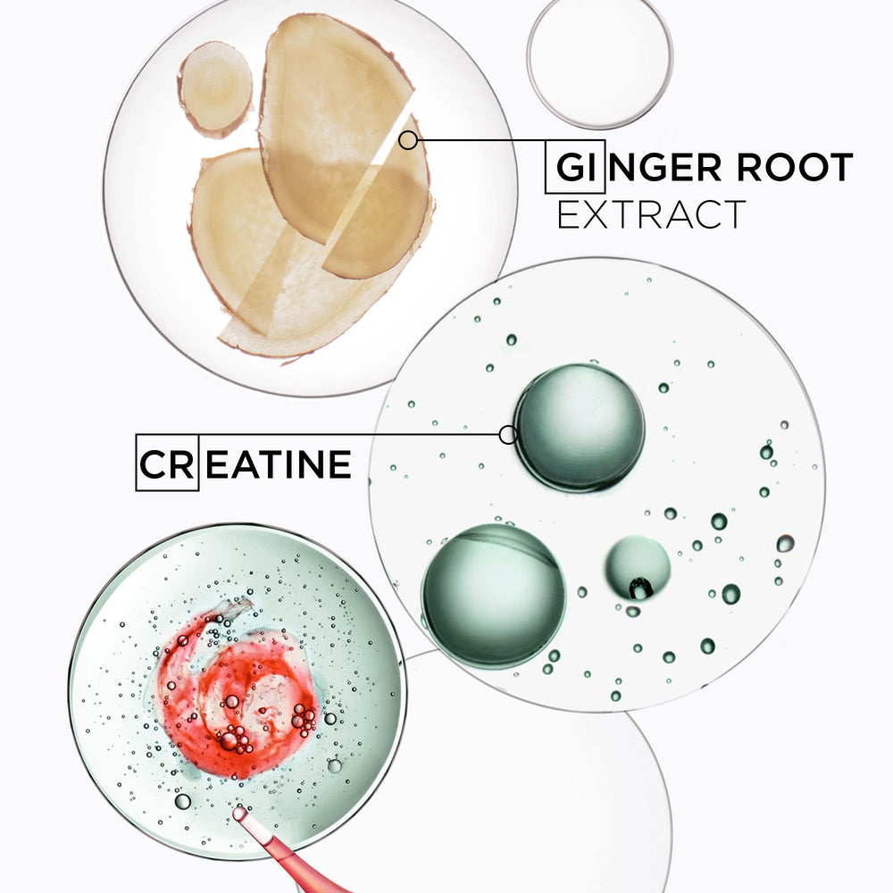 Strengthening illustration for Genesis Homme shows potential fullness