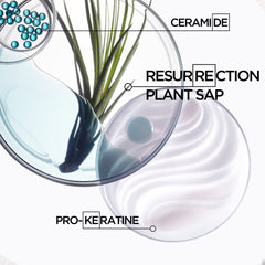 KÉRASTASE Resistance Masque Force Architecte application-step shows quarter-size usage
