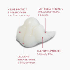 KEVIN.MURPHY PLUMPING.RINSE bamboo extract illustration for moisture and volume