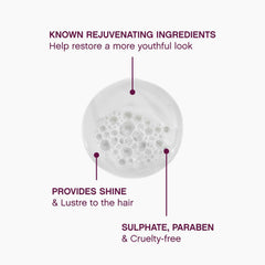 Kevin Murphy Young.Again.Wash bottle-back displays sulfate-free and paraben-free formulation